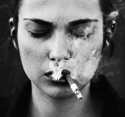 lolita