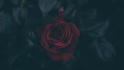 Bloodytip