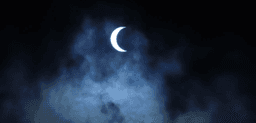 Writer_in_Moonlight
