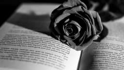ismahanwrites