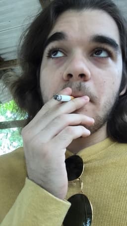 flandersblues