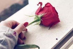 yourlove