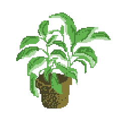 space-plant