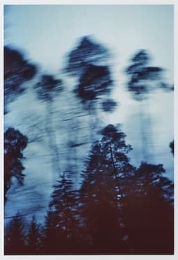 blurryvision