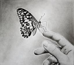 thepoeticbutterfly01