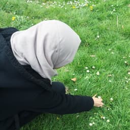 amirahshahari