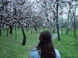 thenay-cora