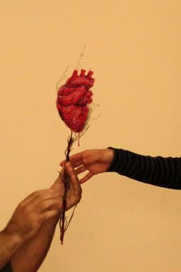 EchoesOfAHeartbeat