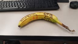 EliIsWriting