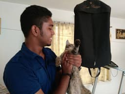 shinnu-john