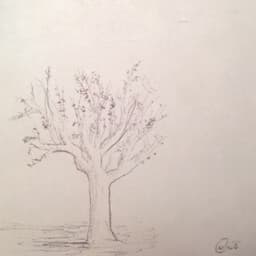 jerry-1