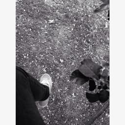 walkingtrxgedy
