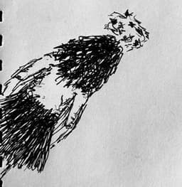 thunderstorm-7