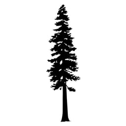 juniper