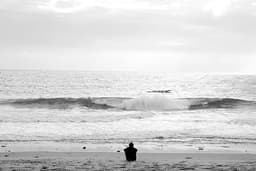 ocean-damsel
