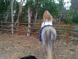 maggs-ih