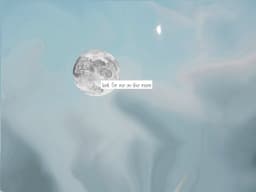 shadymoon