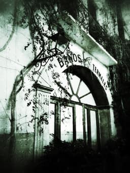 trieste-bergerac