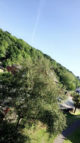 georgia-parry