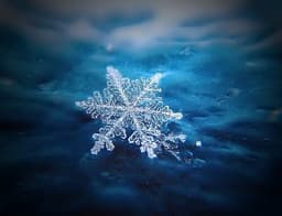 DecemberSnow95