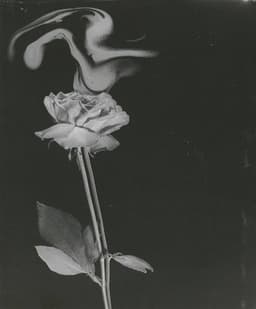 SadMoonshadow