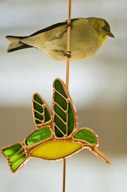 just-a-little-bird