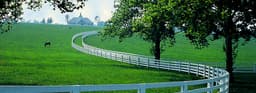 LettersFromKentucky