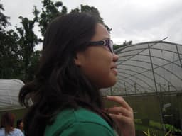 gitana