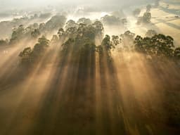 a-new-optimism