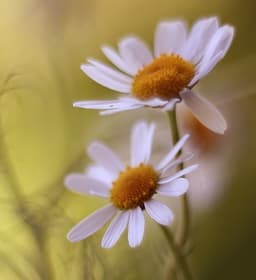 beautiful-poem
