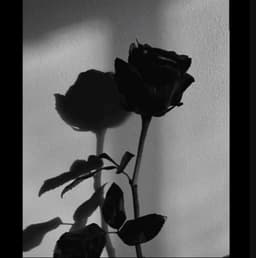 DRK_POET