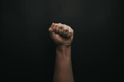 nathanroy