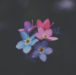 not_well