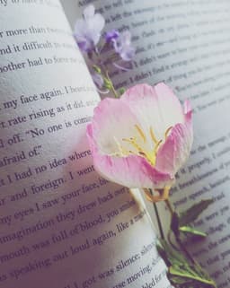 Thousand_written_lives