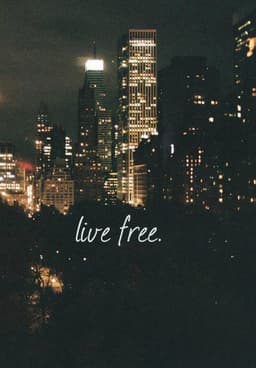 mockingbird