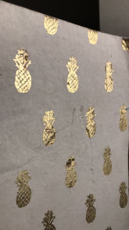 thepineapplebook