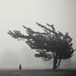 grey-vitzke