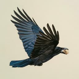 silvsr