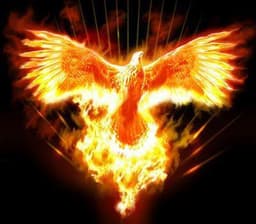 alicia-phoenix