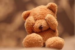 littlebear