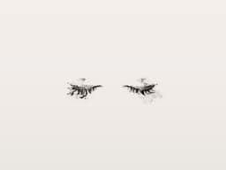 whisper