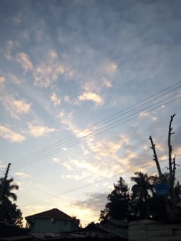 thesunnest