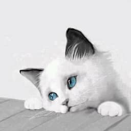 Loveless
