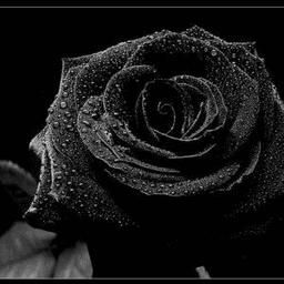 LonelySoul13