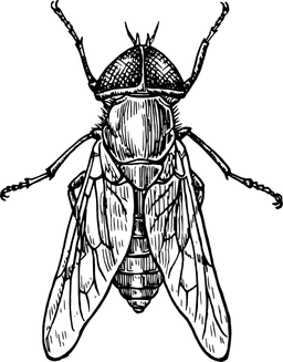 genevieveish