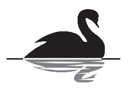 black-swan