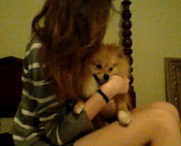 hachi