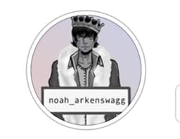 Noaharkenswagg