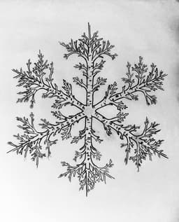 aspenwinters