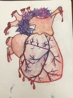 nucherub
